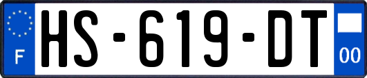 HS-619-DT