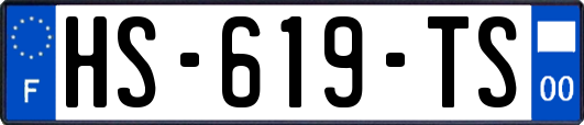 HS-619-TS