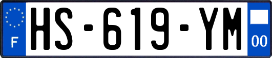 HS-619-YM
