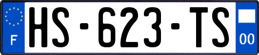 HS-623-TS