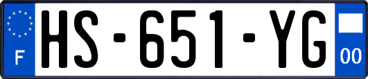 HS-651-YG