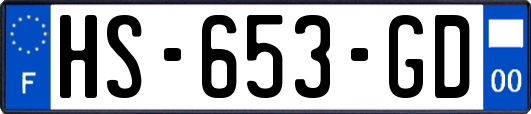 HS-653-GD