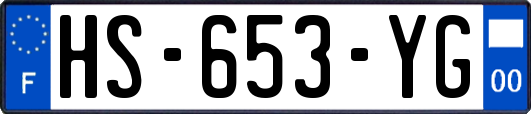 HS-653-YG