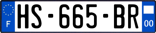 HS-665-BR