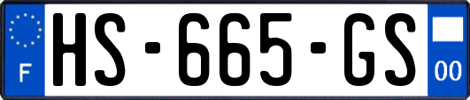 HS-665-GS