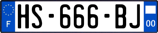 HS-666-BJ
