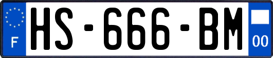 HS-666-BM