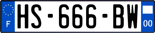 HS-666-BW