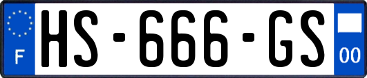 HS-666-GS