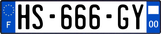 HS-666-GY