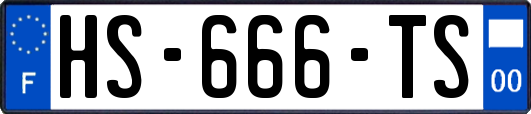 HS-666-TS