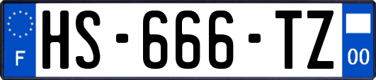 HS-666-TZ