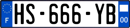 HS-666-YB