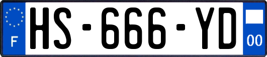 HS-666-YD