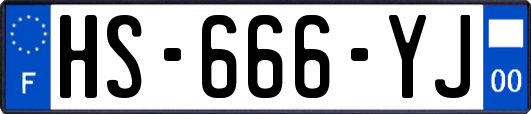 HS-666-YJ