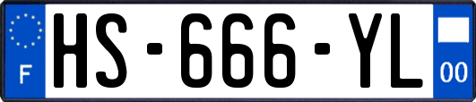 HS-666-YL