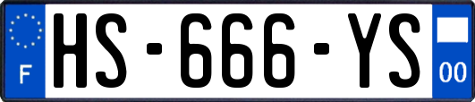 HS-666-YS