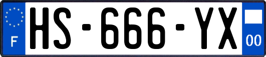 HS-666-YX