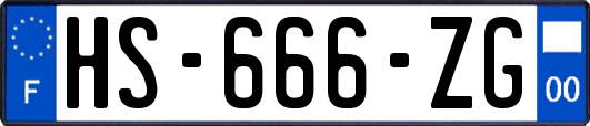 HS-666-ZG