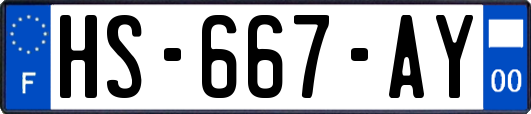 HS-667-AY