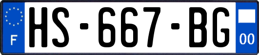 HS-667-BG