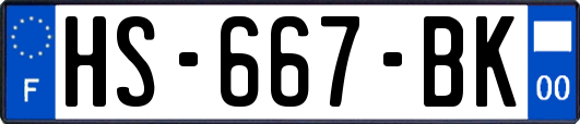 HS-667-BK