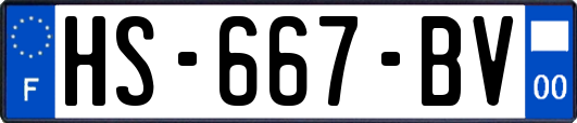 HS-667-BV