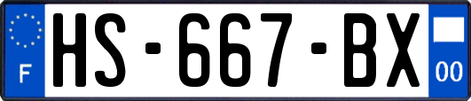 HS-667-BX