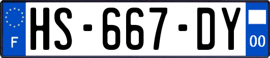 HS-667-DY