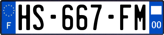 HS-667-FM