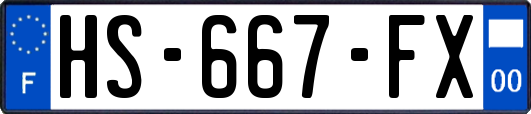 HS-667-FX