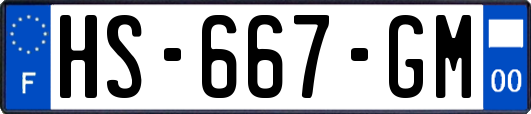 HS-667-GM