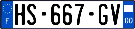 HS-667-GV