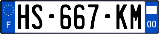 HS-667-KM