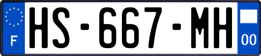 HS-667-MH