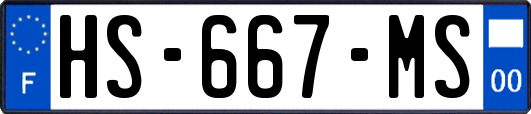 HS-667-MS