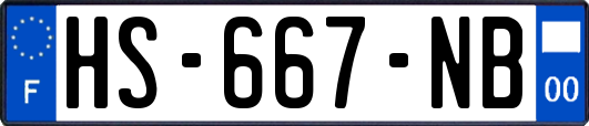 HS-667-NB