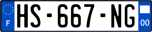 HS-667-NG