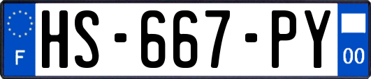 HS-667-PY