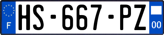 HS-667-PZ
