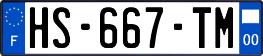 HS-667-TM