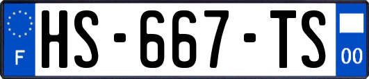 HS-667-TS