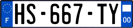 HS-667-TY