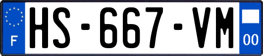 HS-667-VM
