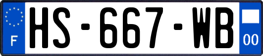 HS-667-WB