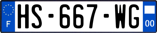HS-667-WG