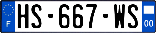 HS-667-WS