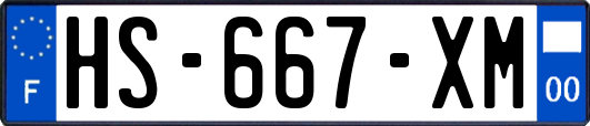 HS-667-XM