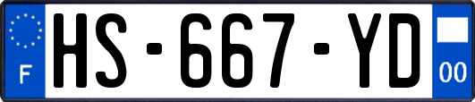 HS-667-YD