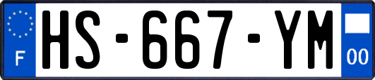 HS-667-YM